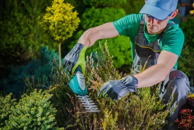 landscaping services Farmingdale